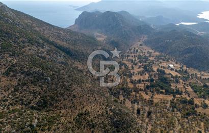 CB MARİNA'DAN MARMARİS TAŞLICA'DA SATILIK 470M2 TARLA