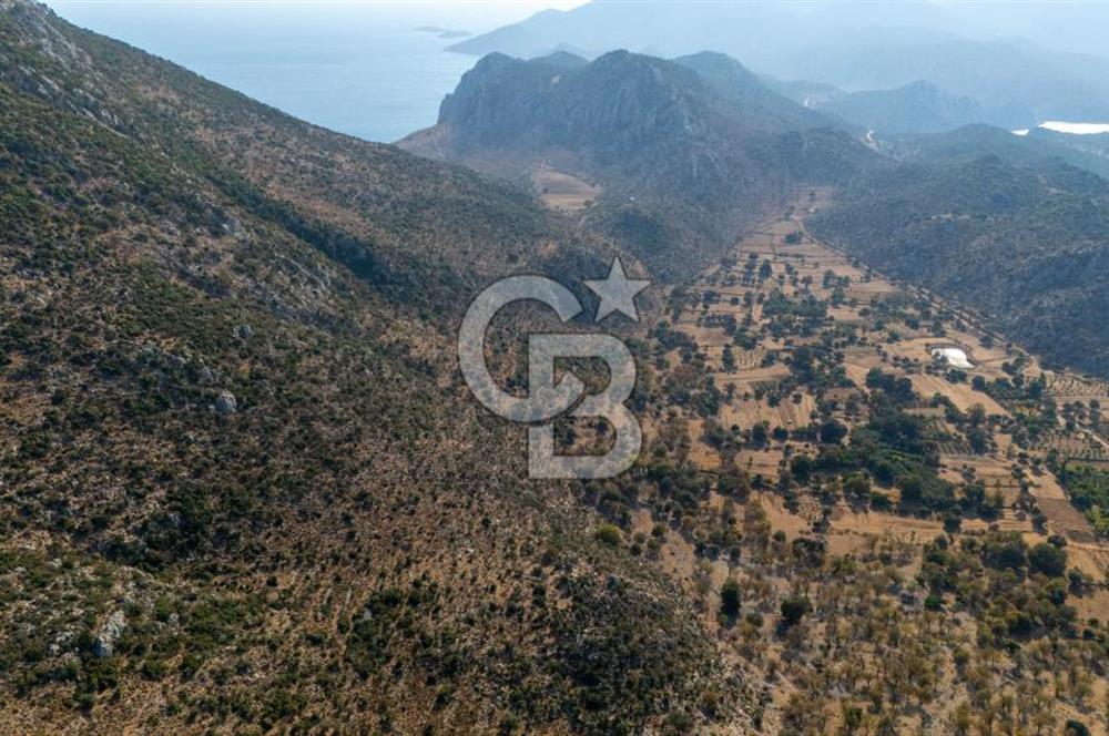 CB MARİNA'DAN MARMARİS TAŞLICA'DA SATILIK 470M2 TARLA