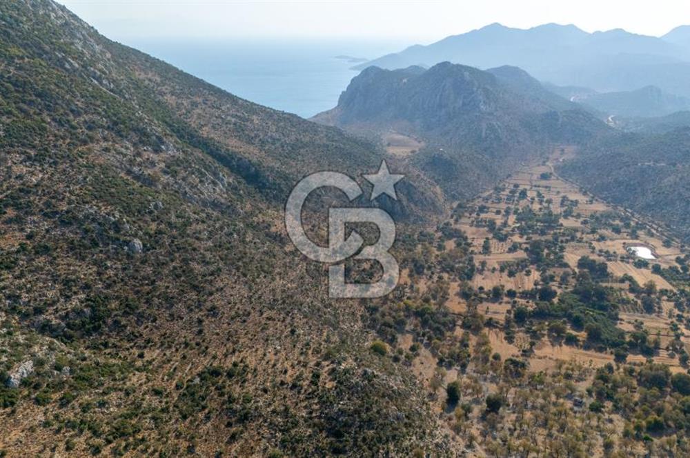 CB MARİNA'DAN MARMARİS TAŞLICA'DA SATILIK 470M2 TARLA