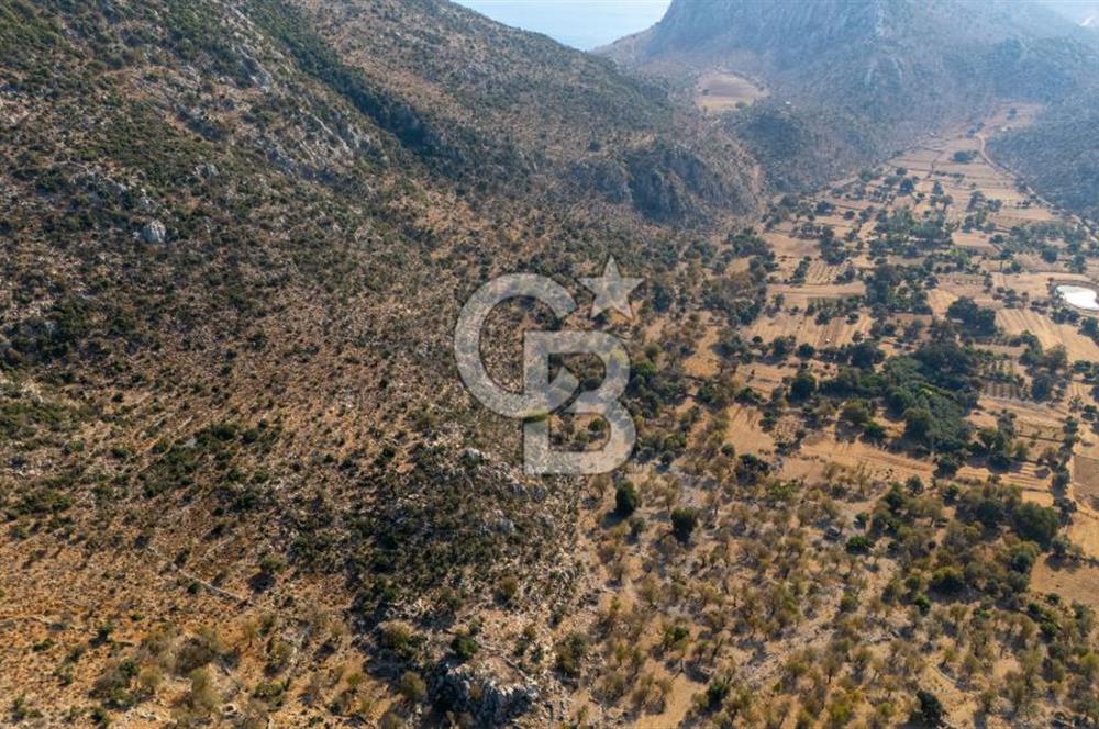 CB MARİNA'DAN MARMARİS TAŞLICA'DA SATILIK 470M2 TARLA