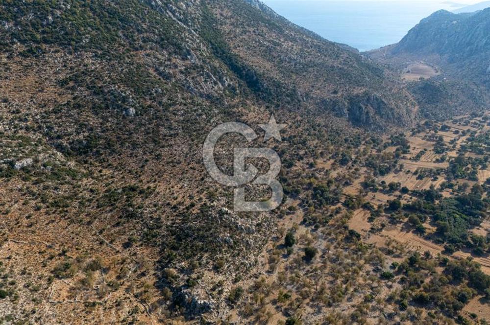 CB MARİNA'DAN MARMARİS TAŞLICA'DA SATILIK 470M2 TARLA