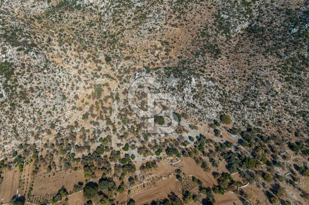 CB MARİNA'DAN MARMARİS TAŞLICA'DA SATILIK 470M2 TARLA