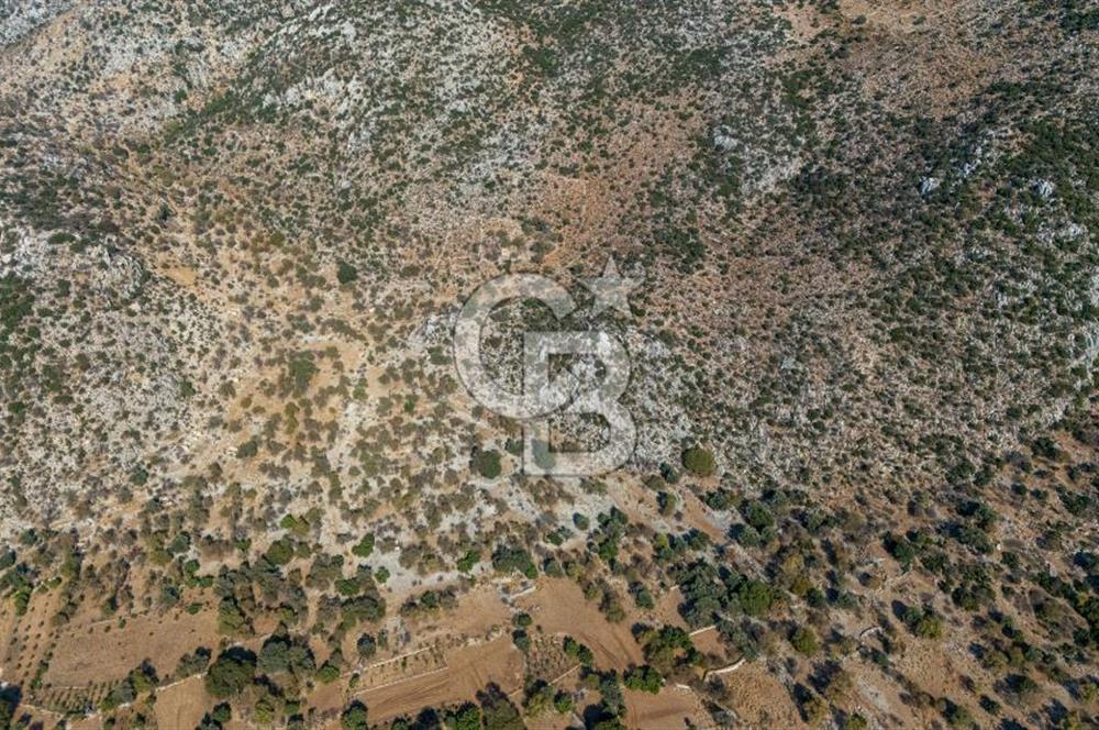 CB MARİNA'DAN MARMARİS TAŞLICA'DA SATILIK 470M2 TARLA