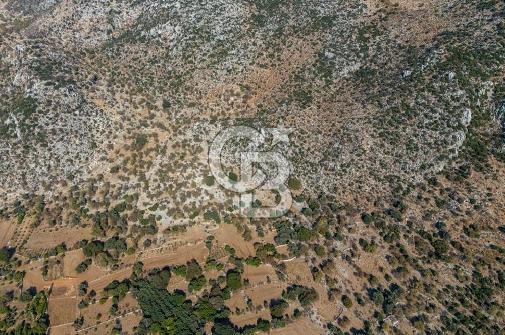 CB MARİNA'DAN MARMARİS TAŞLICA'DA SATILIK 470M2 TARLA