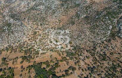 CB MARİNA'DAN MARMARİS TAŞLICA'DA SATILIK 470M2 TARLA