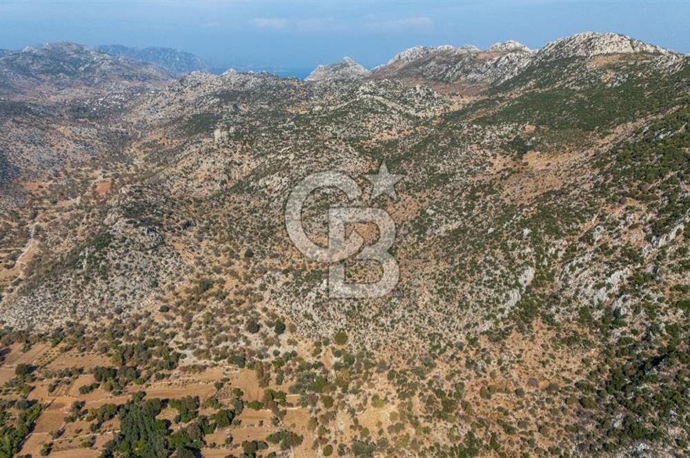 CB MARİNA'DAN MARMARİS TAŞLICA'DA SATILIK 470M2 TARLA