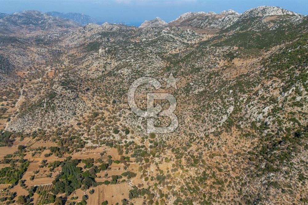 CB MARİNA'DAN MARMARİS TAŞLICA'DA SATILIK 470M2 TARLA