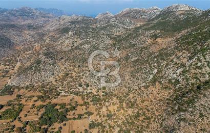 CB MARİNA'DAN MARMARİS TAŞLICA'DA SATILIK 470M2 TARLA