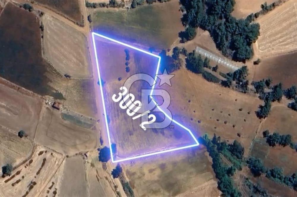 DENİZLİ BEYAĞAC CUMHURİYET MAHALLESİNDE 3770 M2 SATILIK TARLA