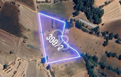 DENİZLİ BEYAĞAC CUMHURİYET MAHALLESİNDE 3770 M2 SATILIK TARLA