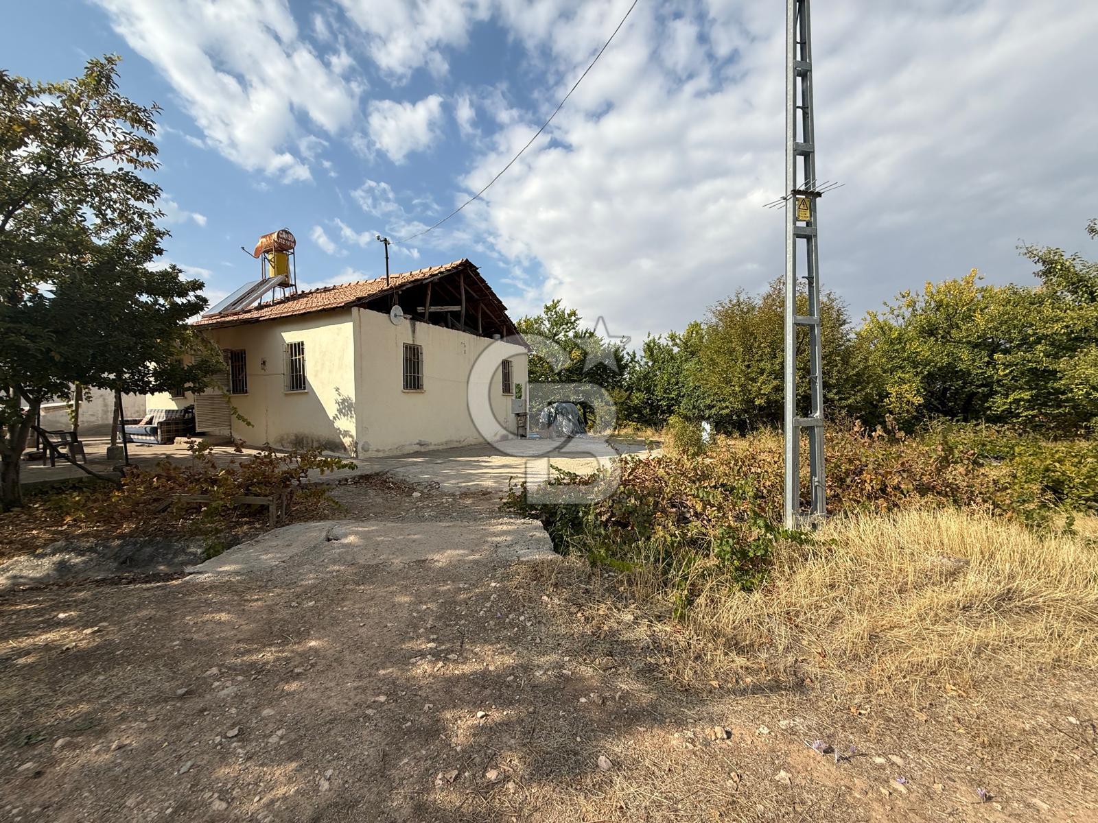 COLDWELL BANKER SAFİR'den YEŞİLYURT KARAHAN da SATILIK TARLA