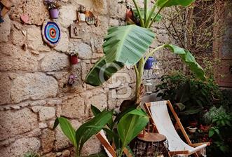Alaçatı Köy İçinde Yüksek Puanlı Fırsat Butik Otel
