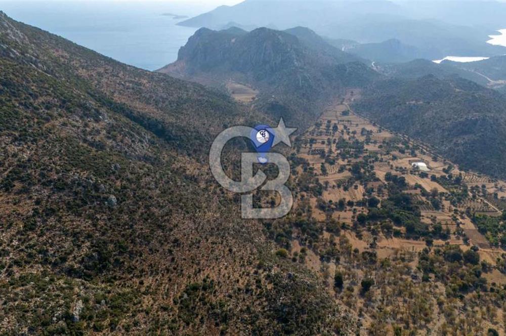 CB MARİNA'DAN MARMARİS TAŞLICA'DA 748 M2 SATILIK TARLA