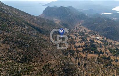 CB MARİNA'DAN MARMARİS TAŞLICA'DA 748 M2 SATILIK TARLA