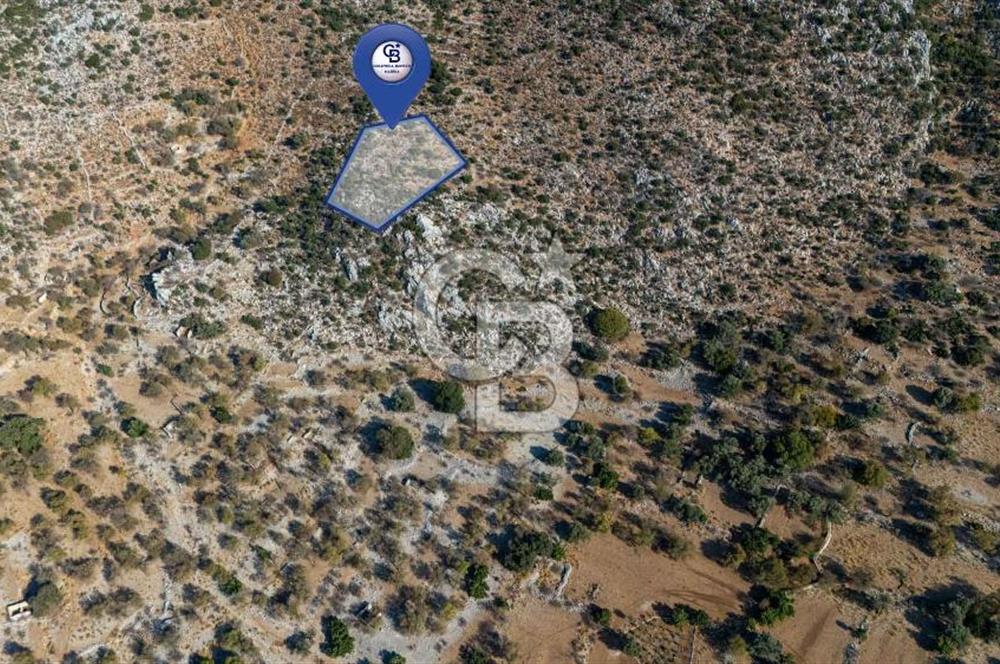 CB MARİNA'DAN MARMARİS TAŞLICA'DA 748 M2 SATILIK TARLA