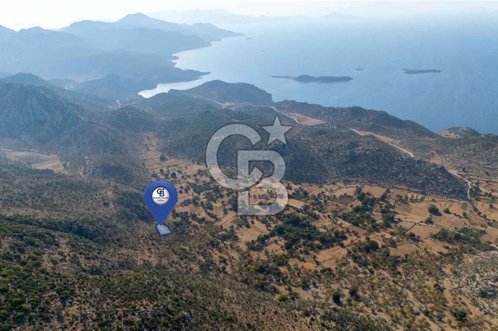CB MARİNA'DAN MARMARİS TAŞLICA'DA 748 M2 SATILIK TARLA