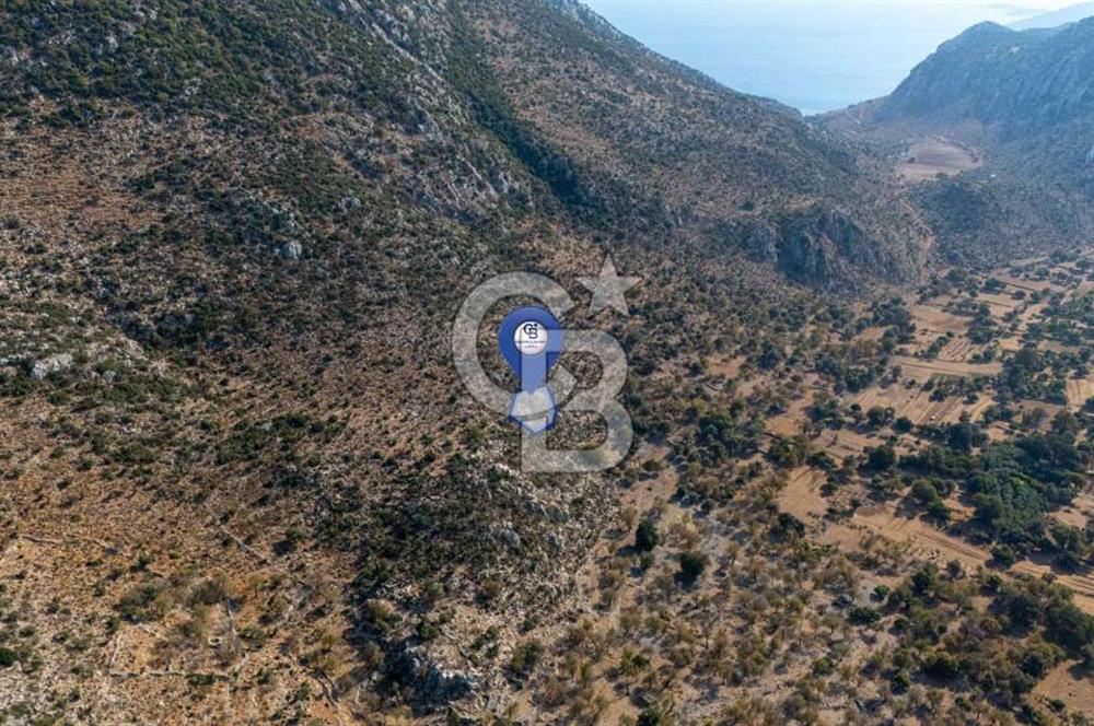 CB MARİNA'DAN MARMARİS TAŞLICA'DA 748 M2 SATILIK TARLA