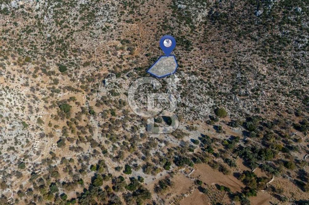CB MARİNA'DAN MARMARİS TAŞLICA'DA 748 M2 SATILIK TARLA