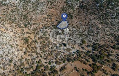 CB MARİNA'DAN MARMARİS TAŞLICA'DA 748 M2 SATILIK TARLA