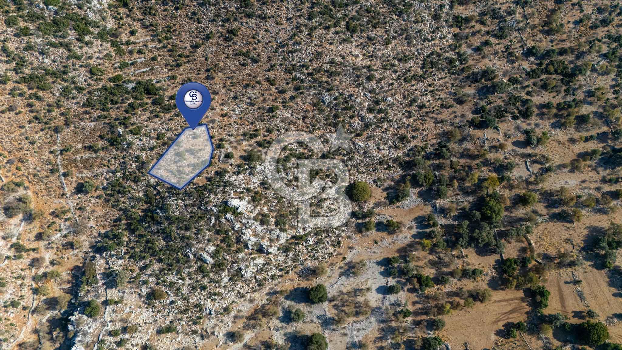 CB MARİNA'DAN MARMARİS TAŞLICA'DA 748 M2 SATILIK TARLA