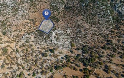 CB MARİNA'DAN MARMARİS TAŞLICA'DA 748 M2 SATILIK TARLA