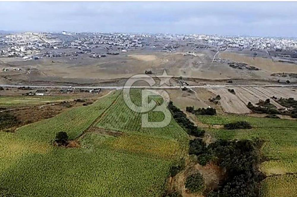 YENİŞEHİR İMAR PLANLARI İÇERİSİNDE TEK TAPU YATIRIM FIRSATI
