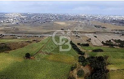 YENİŞEHİR İMAR PLANLARI İÇERİSİNDE TEK TAPU YATIRIM FIRSATI