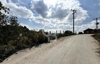 DÜZCE YIĞILCA TRAŞLAR KÖYÜNDE 1041 M2 SATILIK ARSA CB TOWER