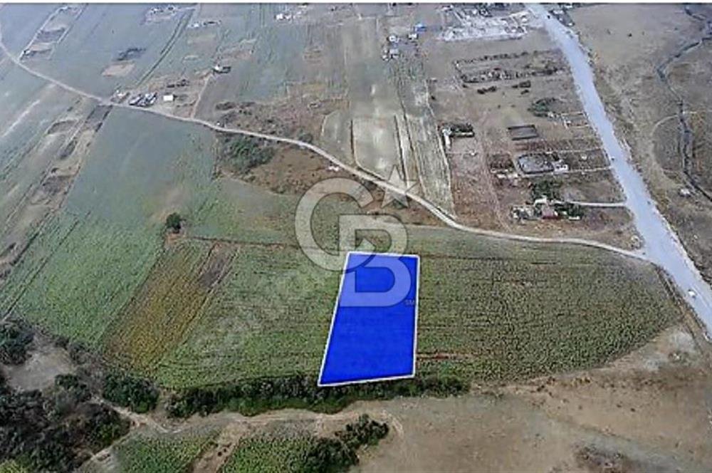 YENİŞEHİR İMAR PLANLARI İÇERİSİNDE TEK TAPU YATIRIM FIRSATI