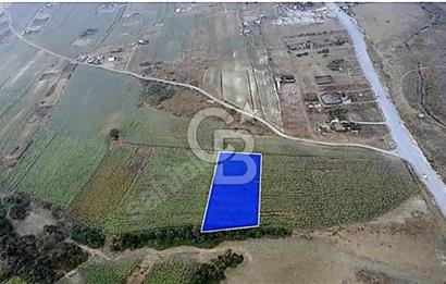 YENİŞEHİR İMAR PLANLARI İÇERİSİNDE TEK TAPU YATIRIM FIRSATI