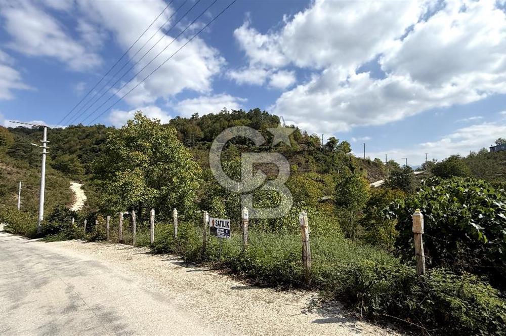 DÜZCE YIĞILCA TRAŞLAR KÖYÜNDE 1041 M2 SATILIK ARSA CB TOWER