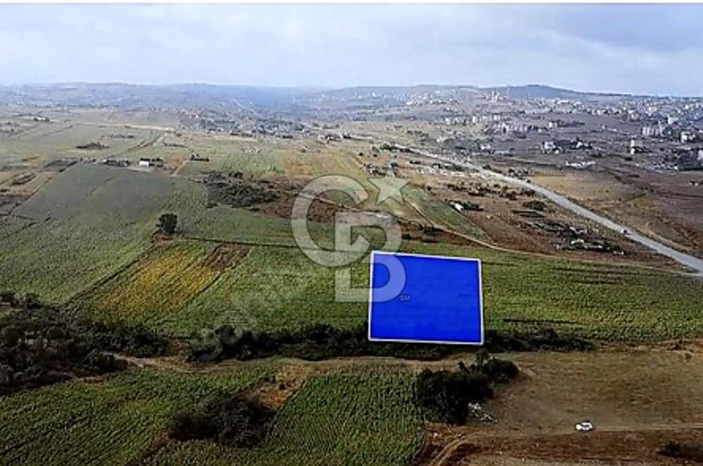 YENİŞEHİR İMAR PLANLARI İÇERİSİNDE TEK TAPU YATIRIM FIRSATI