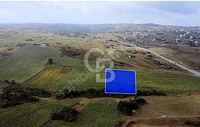 YENİŞEHİR İMAR PLANLARI İÇERİSİNDE TEK TAPU YATIRIM FIRSATI