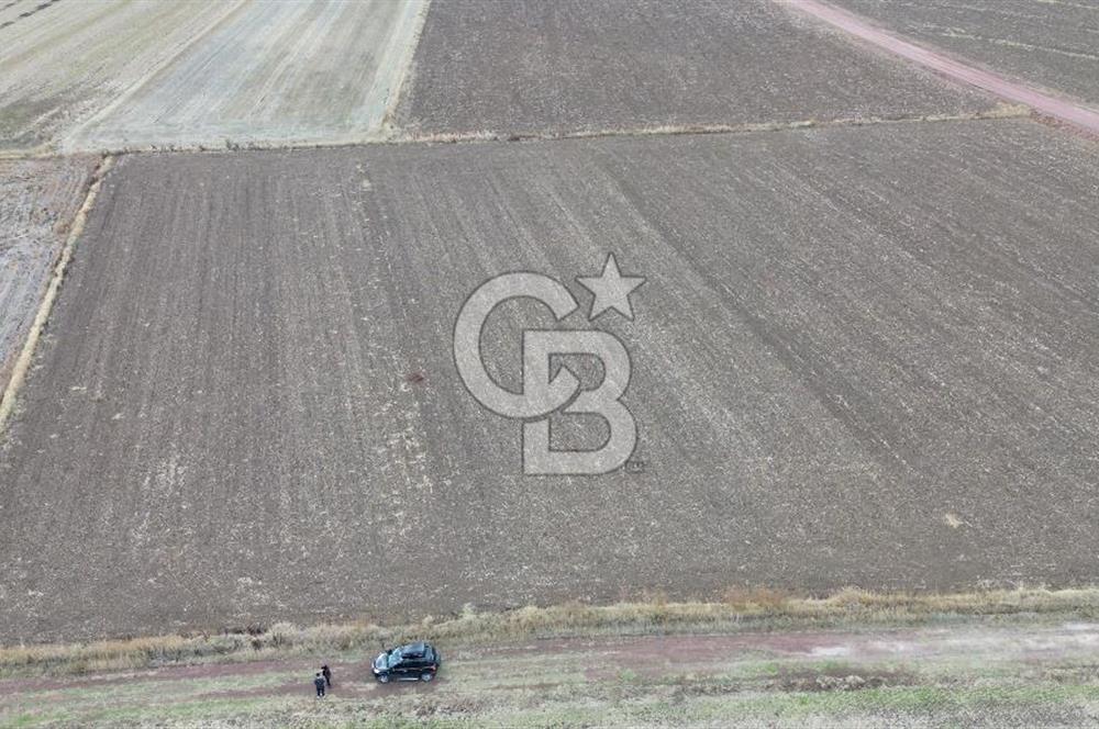 BİGA KARAHAMZALAR KÖYÜNDE TARIMA ELVERİŞLİ 4700 M2 TARLA