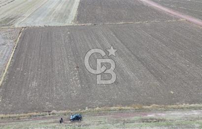 BİGA KARAHAMZALAR KÖYÜNDE TARIMA ELVERİŞLİ 4700 M2 TARLA
