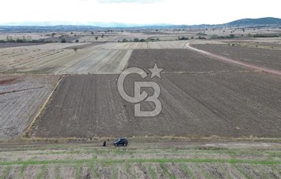 BİGA KARAHAMZALAR KÖYÜNDE TARIMA ELVERİŞLİ 4700 M2 TARLA