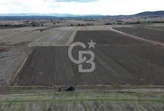 BİGA KARAHAMZALAR KÖYÜNDE TARIMA ELVERİŞLİ 4700 M2 TARLA