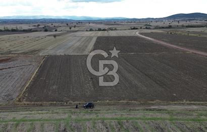 BİGA KARAHAMZALAR KÖYÜNDE TARIMA ELVERİŞLİ 4700 M2 TARLA