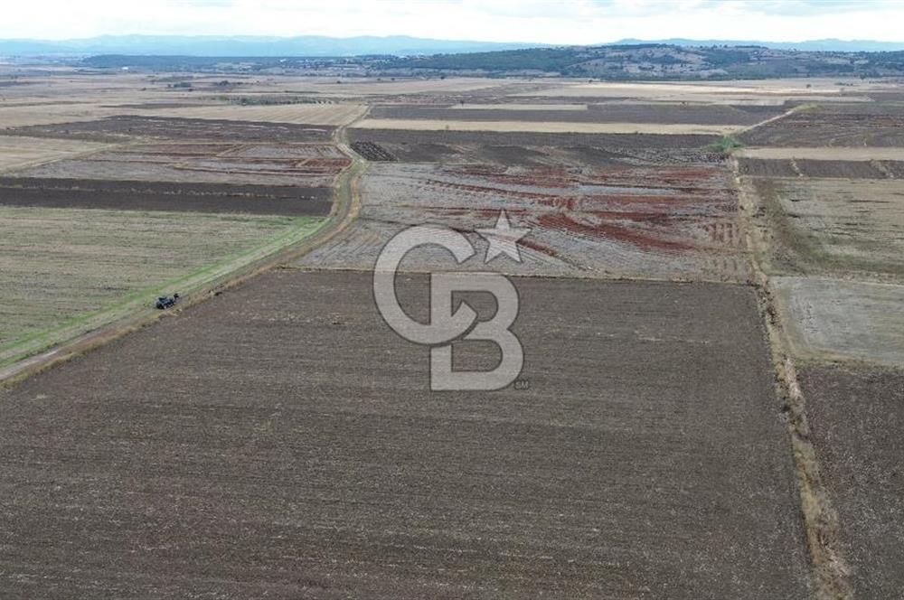 BİGA KARAHAMZALAR KÖYÜNDE TARIMA ELVERİŞLİ 4700 M2 TARLA