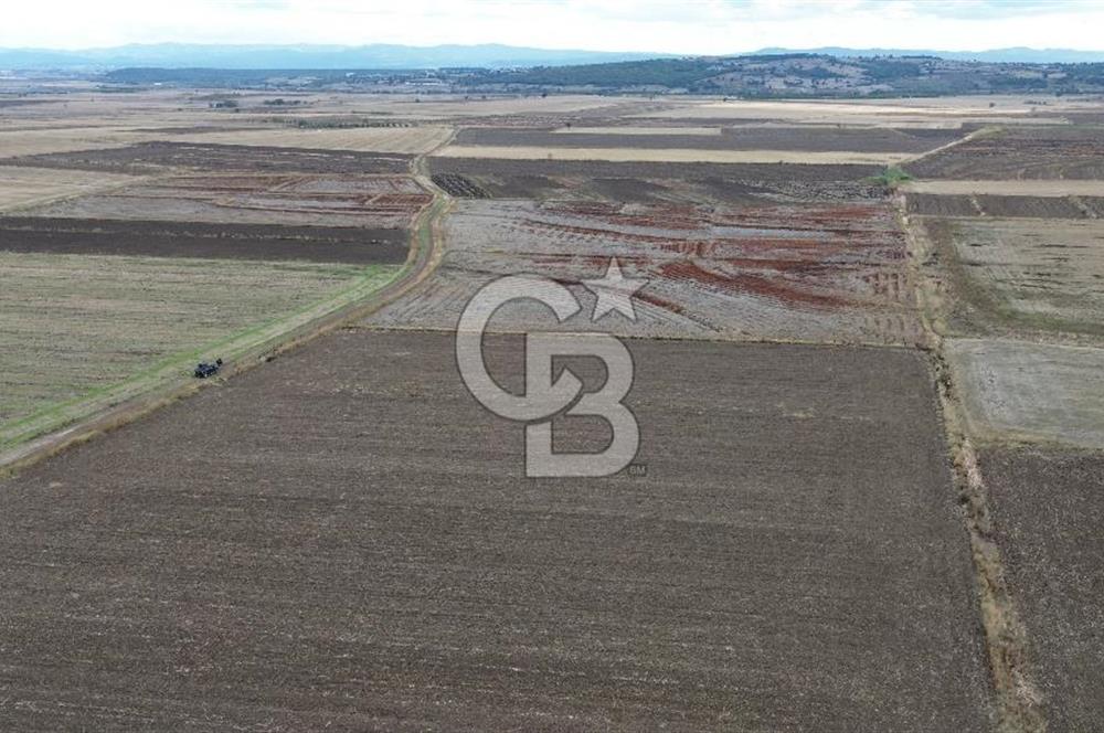 BİGA KARAHAMZALAR KÖYÜNDE TARIMA ELVERİŞLİ 4700 M2 TARLA
