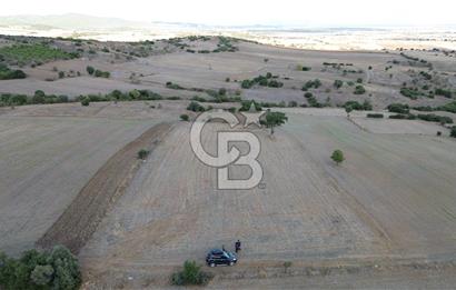 BİGA KARAHAMZALAR KÖYÜNDE 5380 M2 YATIRIMLIK ARAZİ