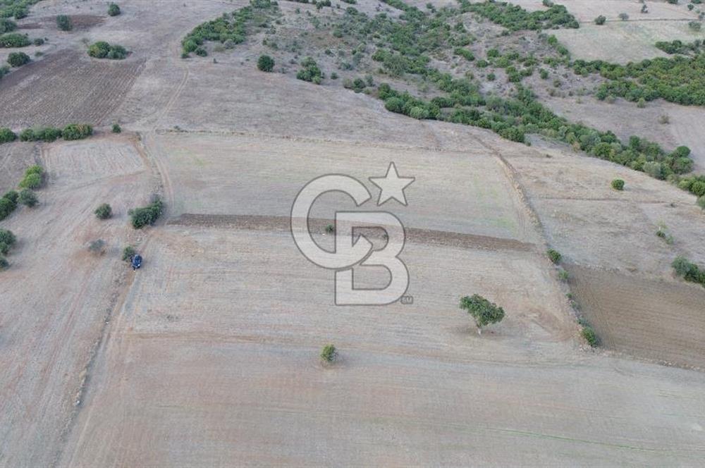 BİGA KARAHAMZALAR KÖYÜNDE 5380 M2 YATIRIMLIK ARAZİ