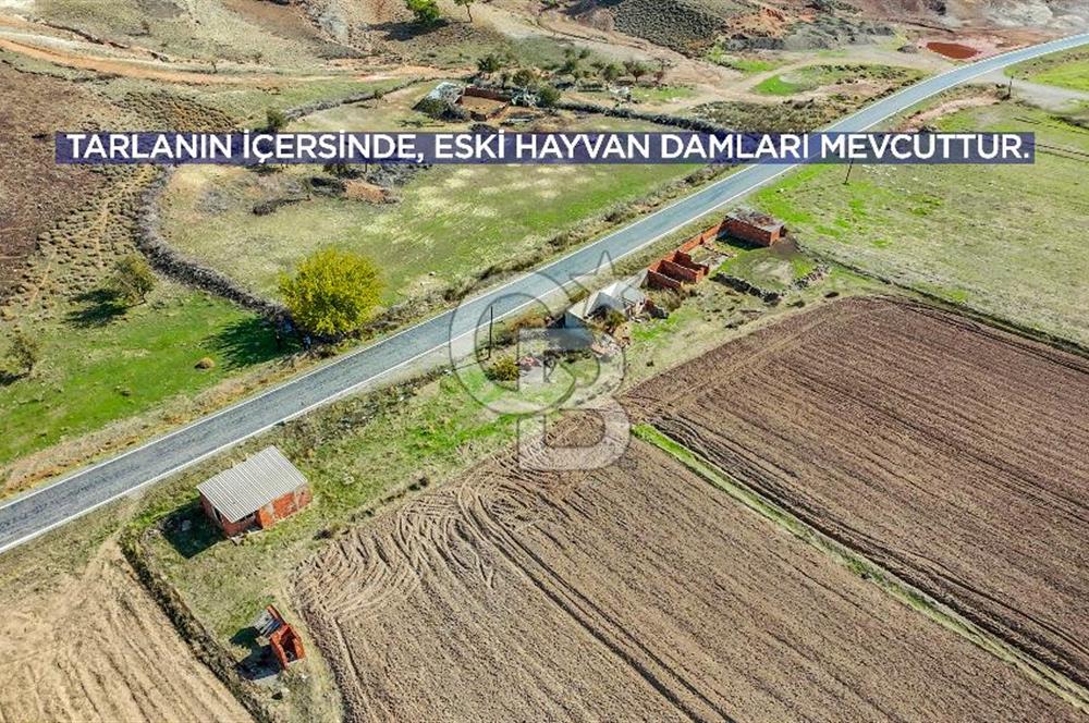 AYVACIK, TUZLA GÜLPINAR YOL ÜZERİNDE YATIRIMLIK 16.135 M2 TARLA!