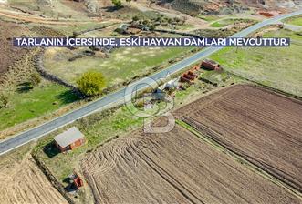 AYVACIK, TUZLA GÜLPINAR YOL ÜZERİNDE YATIRIMLIK 16.135 M2 TARLA!