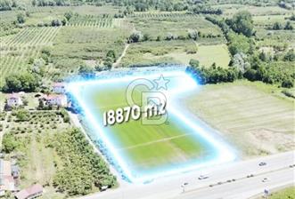 CB PARK'DAN YATIRIM VE SANAYİ İÇİN FIRSAT TARLA 