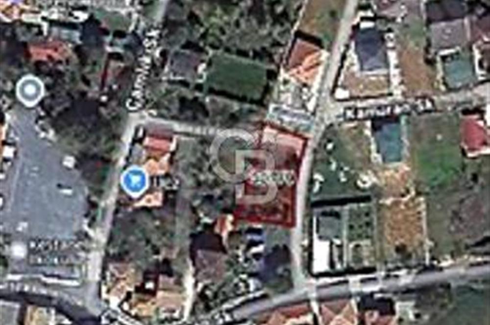 TEK TAPU ÇATALCA KESTANELİKTE YATIRIM FIRSATI