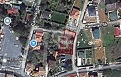 TEK TAPU ÇATALCA KESTANELİKTE YATIRIM FIRSATI