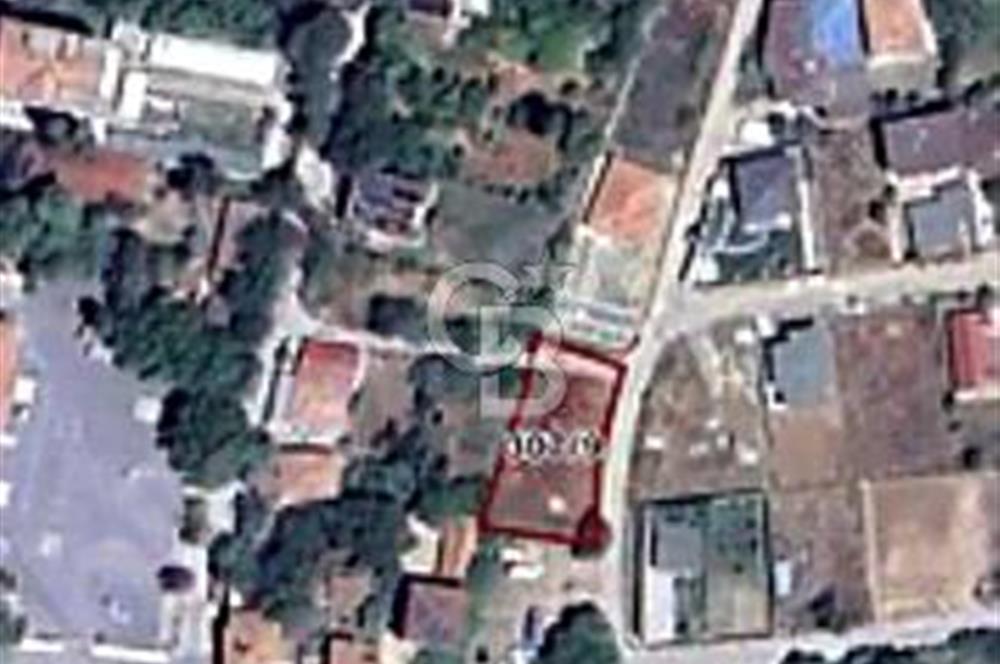 TEK TAPU ÇATALCA KESTANELİKTE YATIRIM FIRSATI