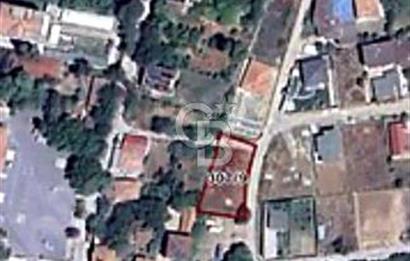 TEK TAPU ÇATALCA KESTANELİKTE YATIRIM FIRSATI