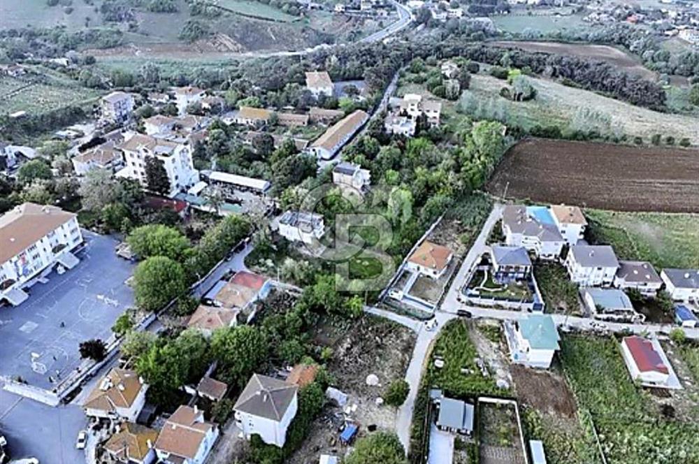 TEK TAPU ÇATALCA KESTANELİKTE YATIRIM FIRSATI